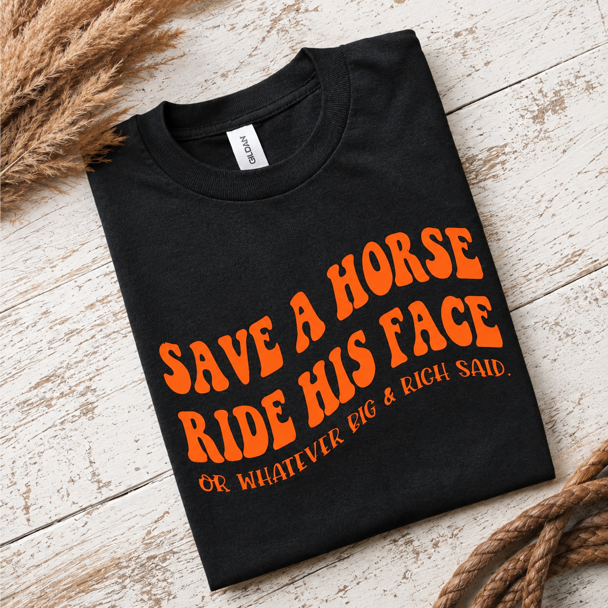 Save a Horse Ride His Face T-Shirt