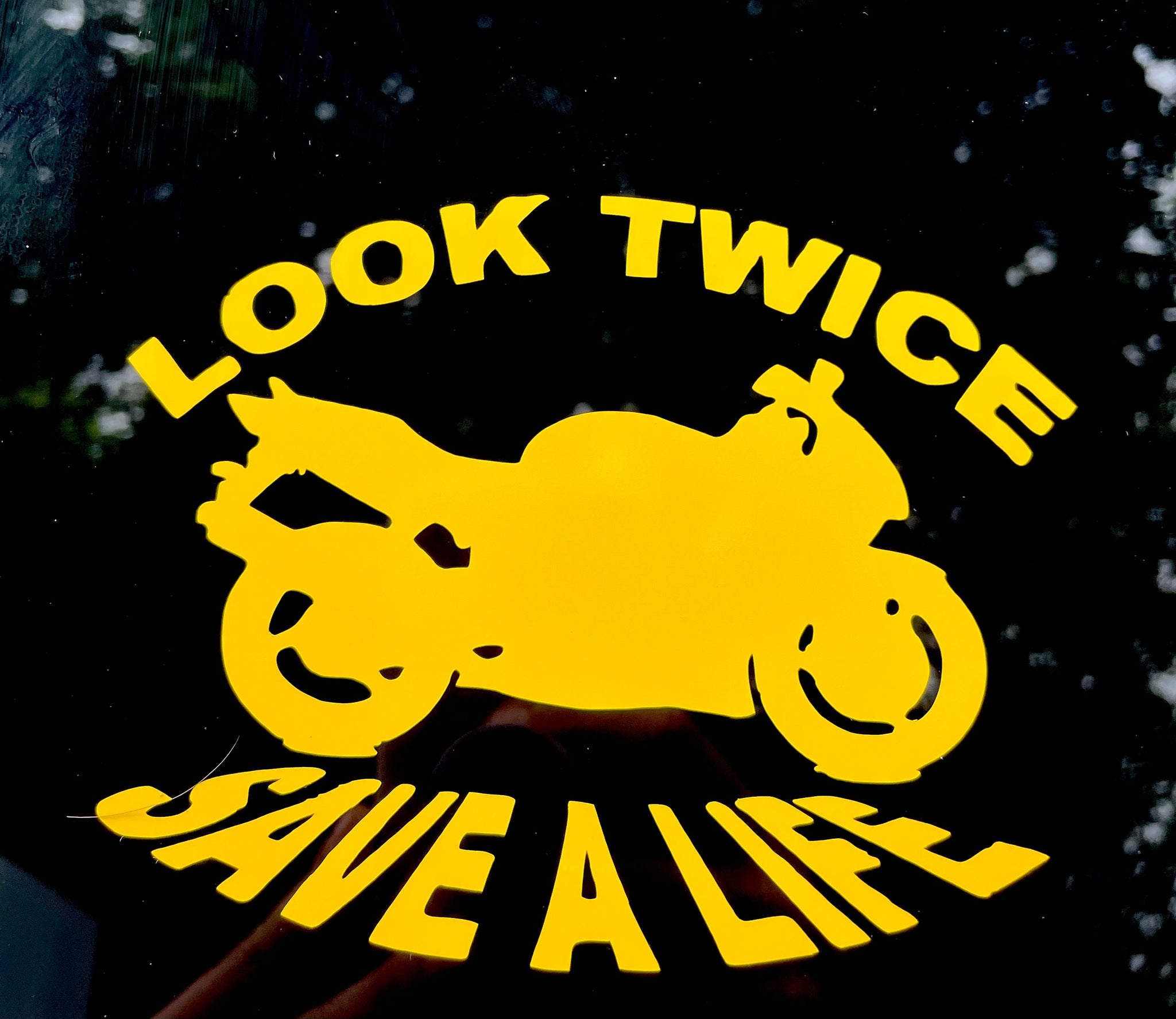 Look twice save a life